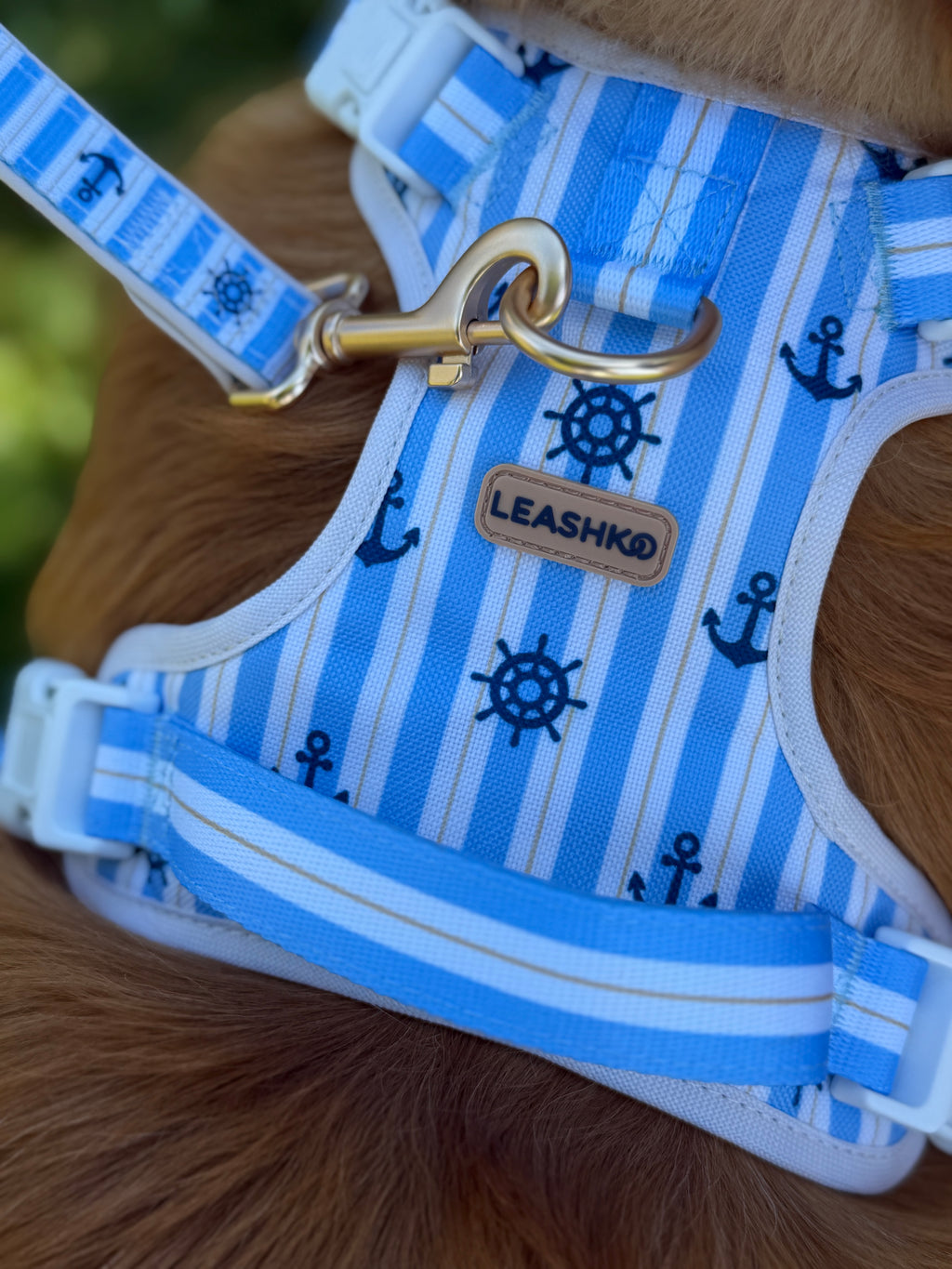 Marine Blue Dog Leash