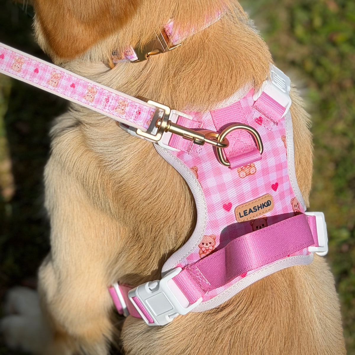 Bear Blush Adjustable Dog Harness