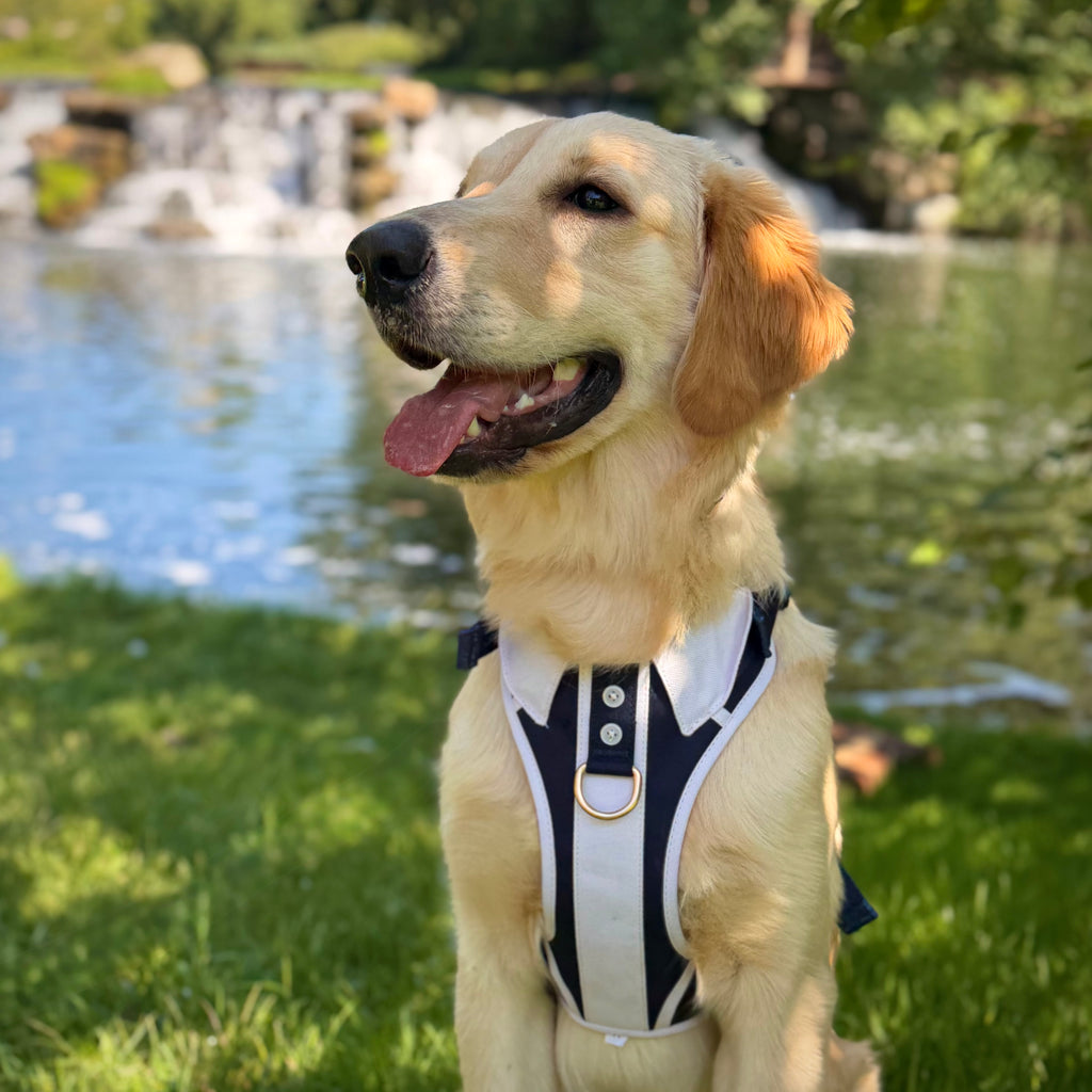 The Complete Classic Navy Set
