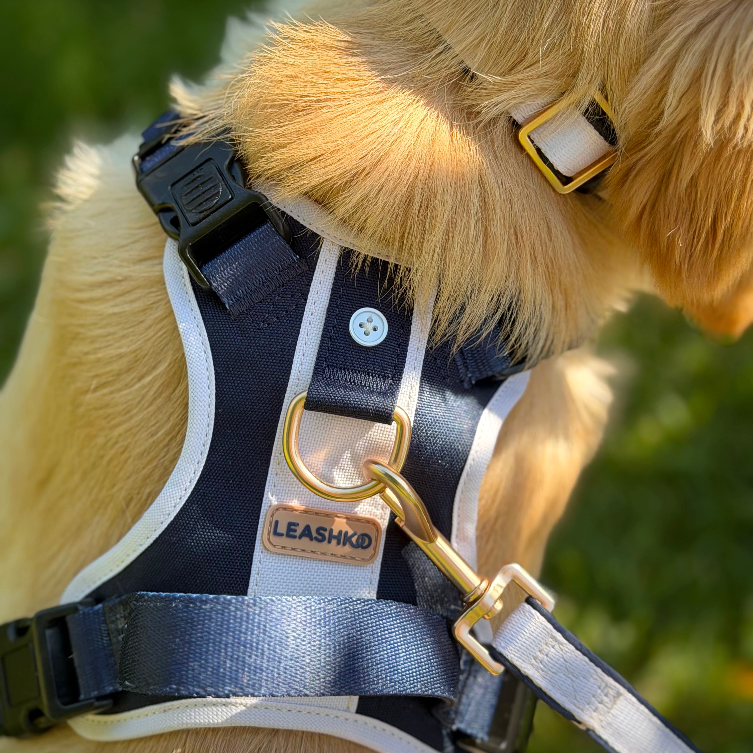 Classic Navy Dog Leash