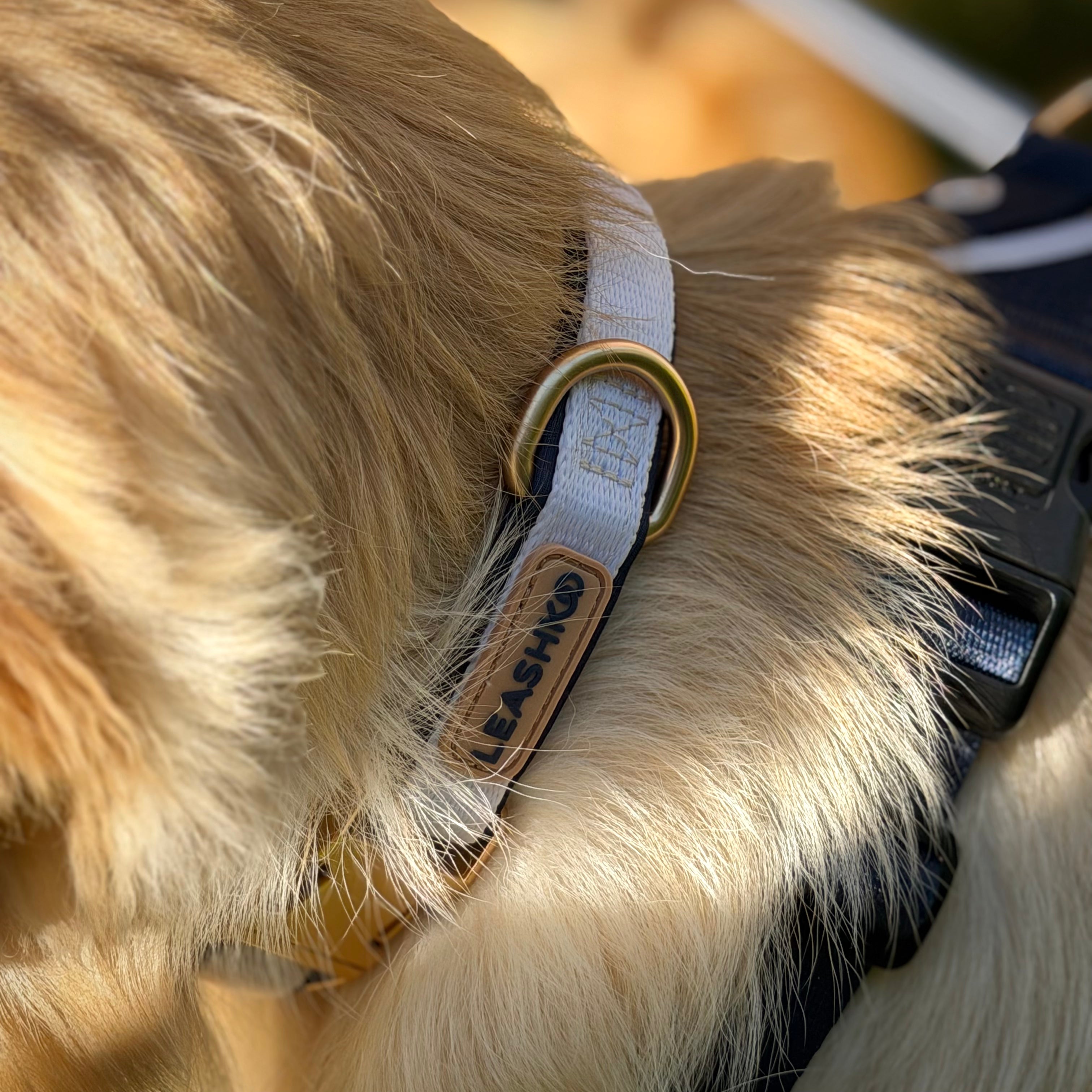 Classic Navy Adjustable Dog Collar