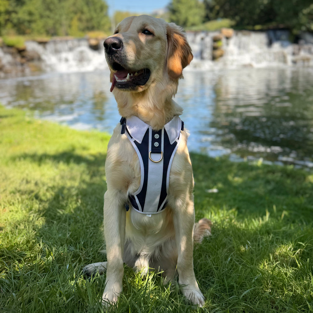 The Classic Navy Adventure Set