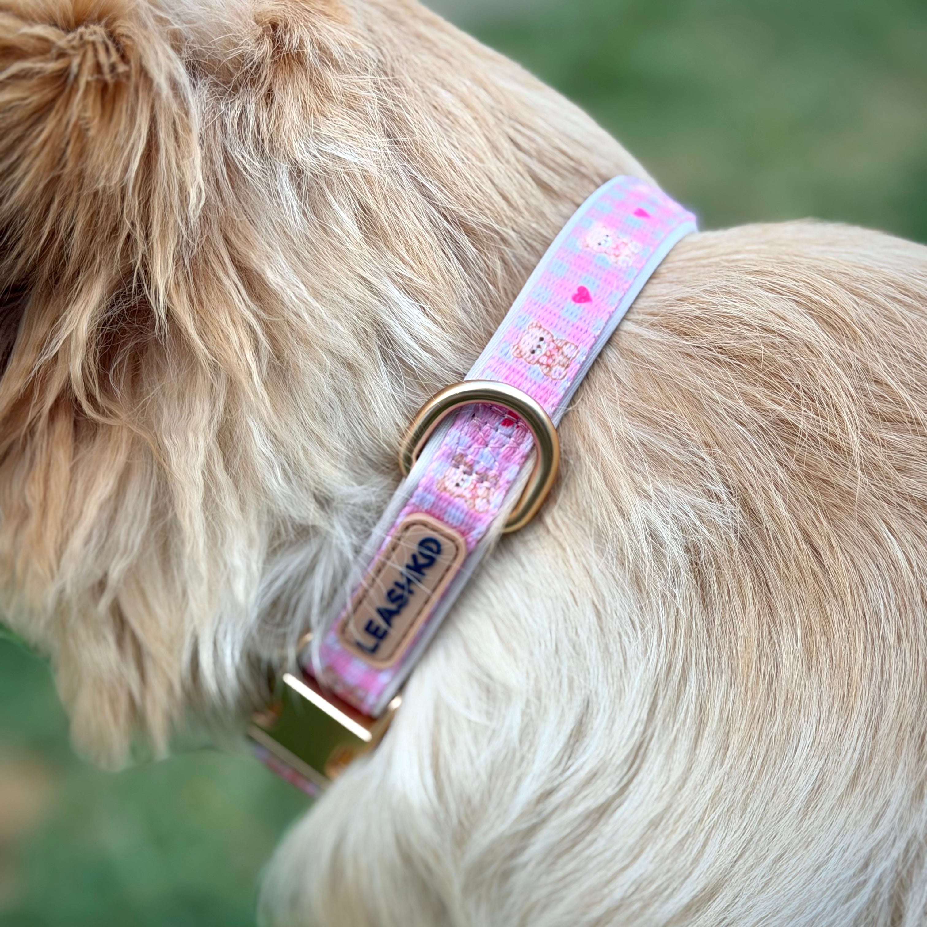 Bear Blush Adjustable Dog Collar
