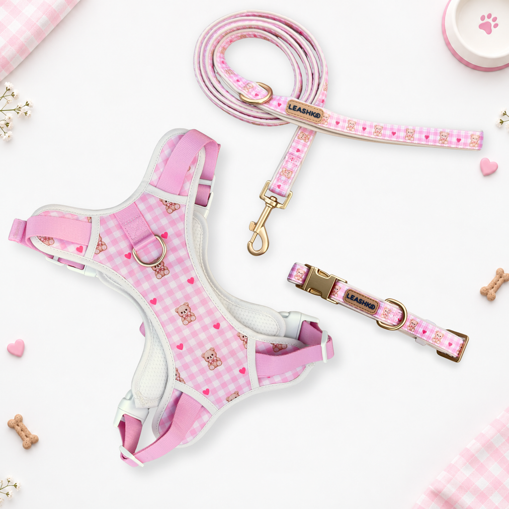 The Bear Blush Essential Walk Set