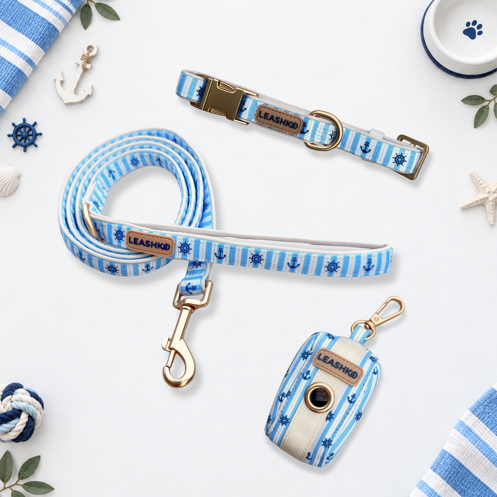 The Marine Blue Everyday Walk Set