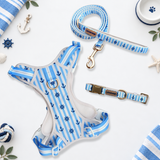 The Marine Blue Essential Walk Set