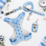 The Complete Marine Blue Set