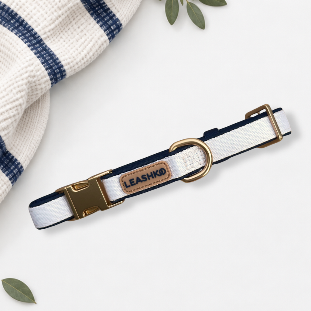 The Complete Classic Navy Set