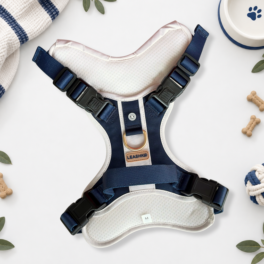 The Complete Classic Navy Set