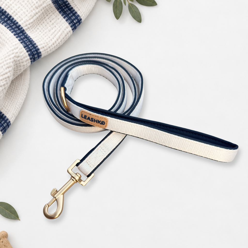 The Complete Classic Navy Set