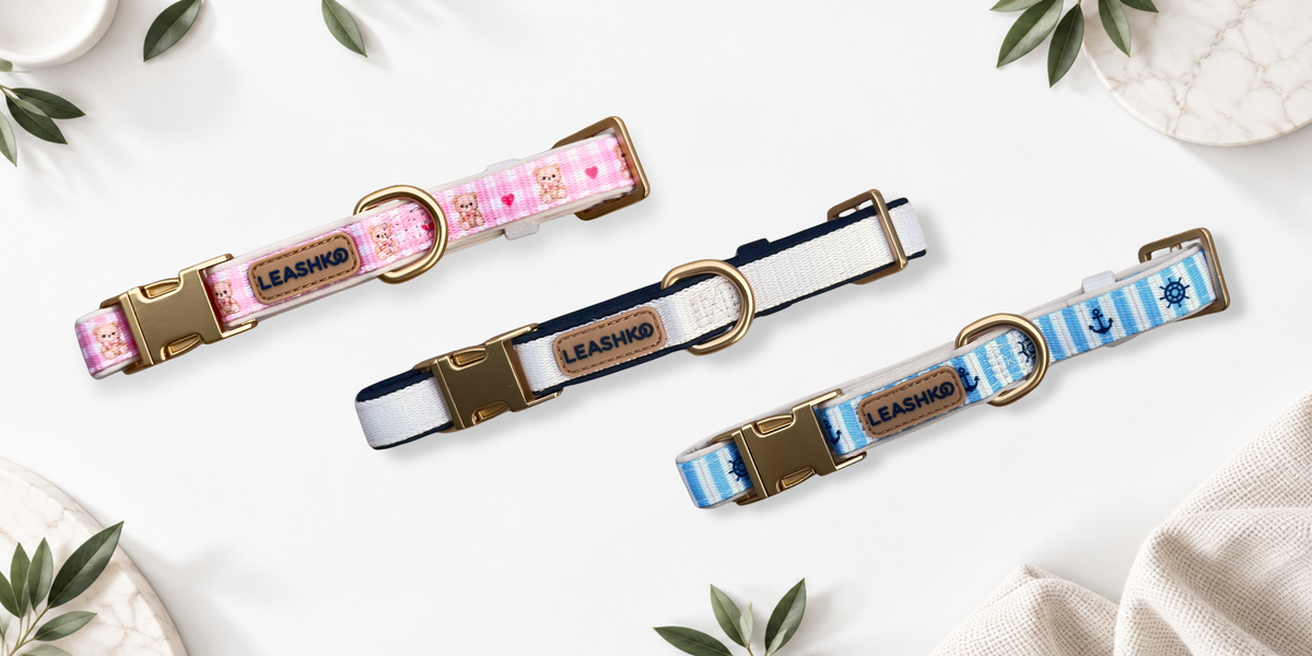 Leashko dog accessories