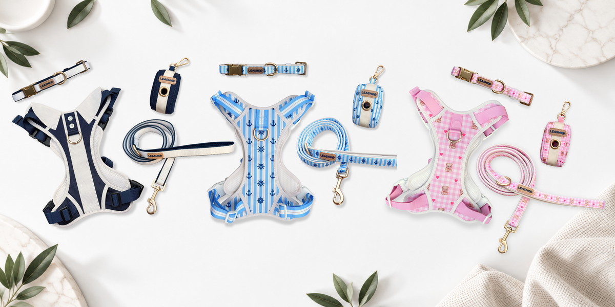 Leashko dog accessories