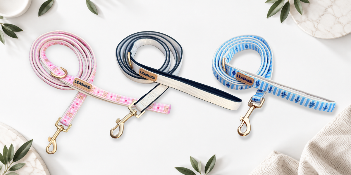 Leashko dog accessories