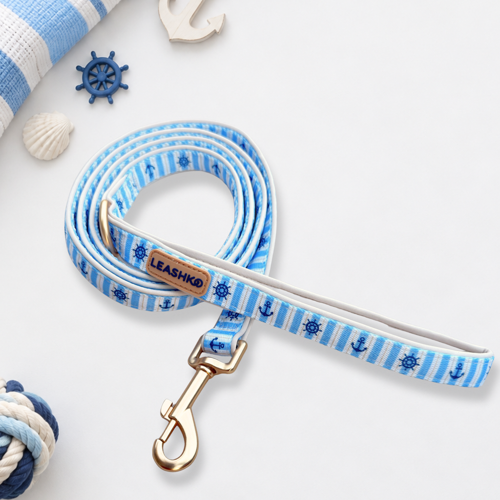 The Complete Marine Blue Set