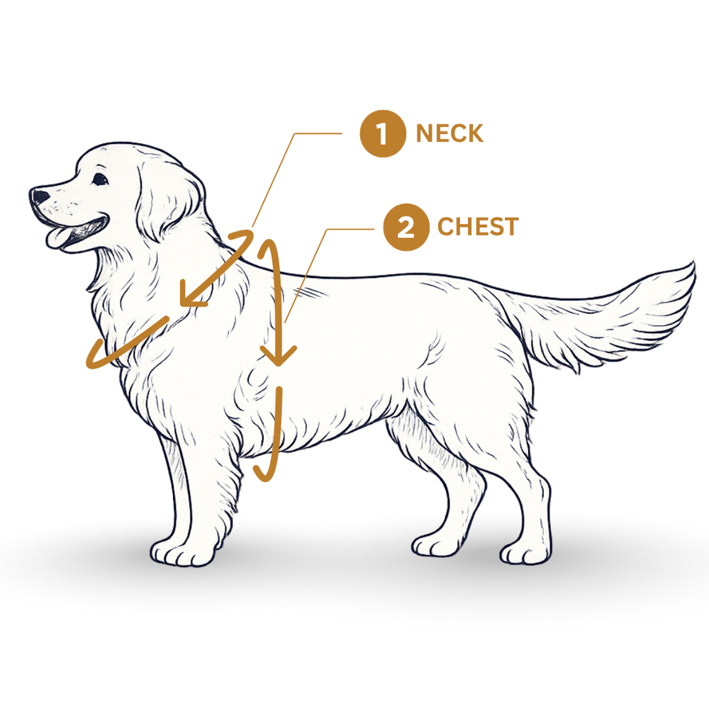 Dog measuring guide